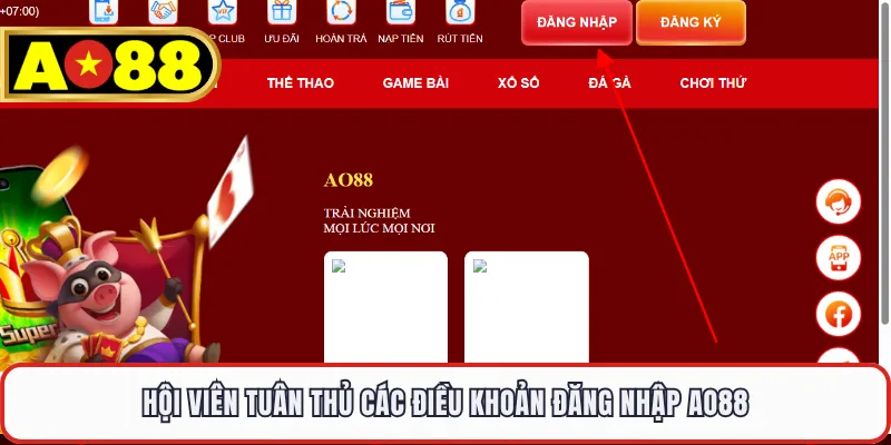 Hội viên tuân thủ các điều khoản đăng nhập AO88